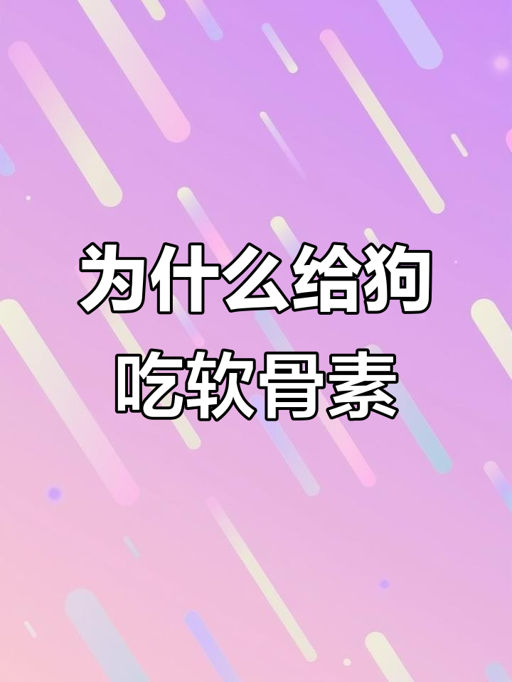 狗狗关节健康必备:软骨素的作用与选择