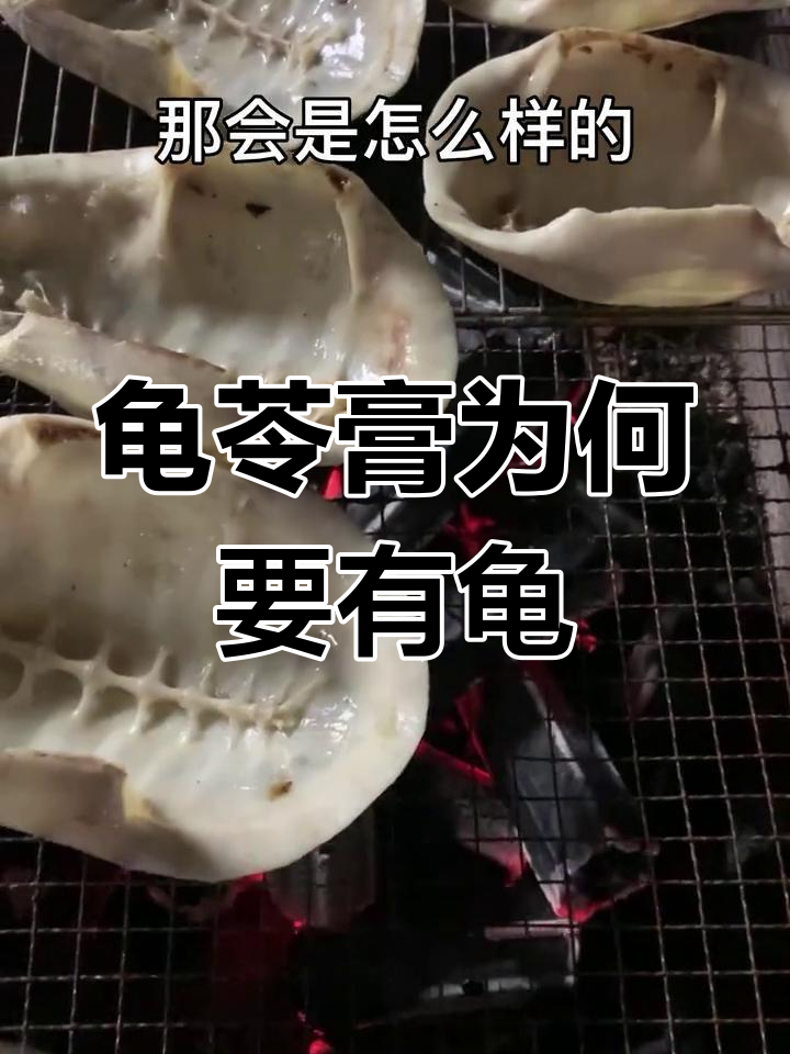 龟苓膏失去龟,还能有什么功效?