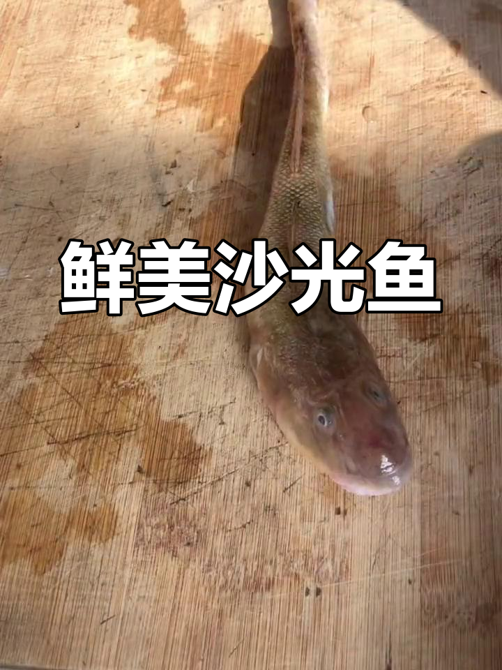 新鲜沙光鱼汤做法