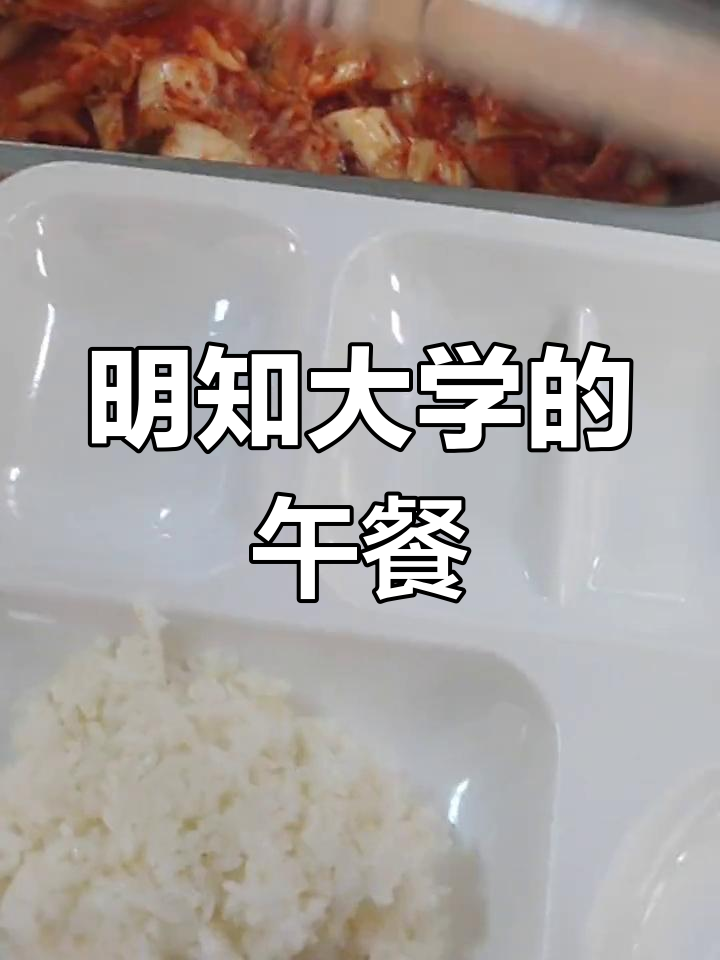 韩国明知大学食堂的辣白菜饭