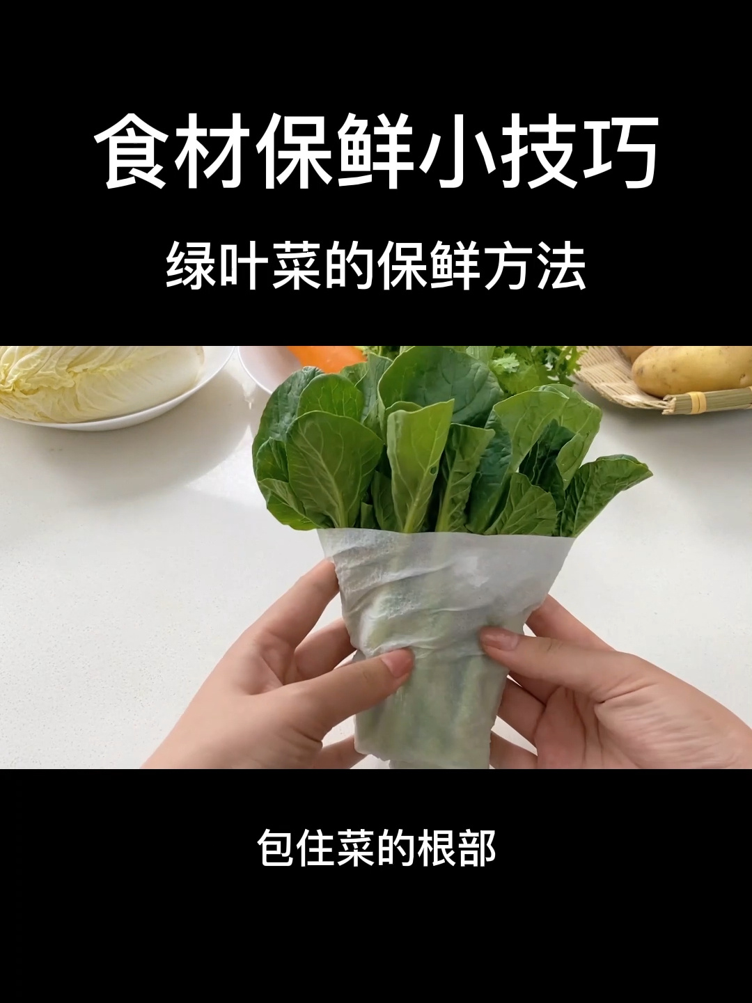 备菜|绿叶蔬菜的保鲜方法～学到了!