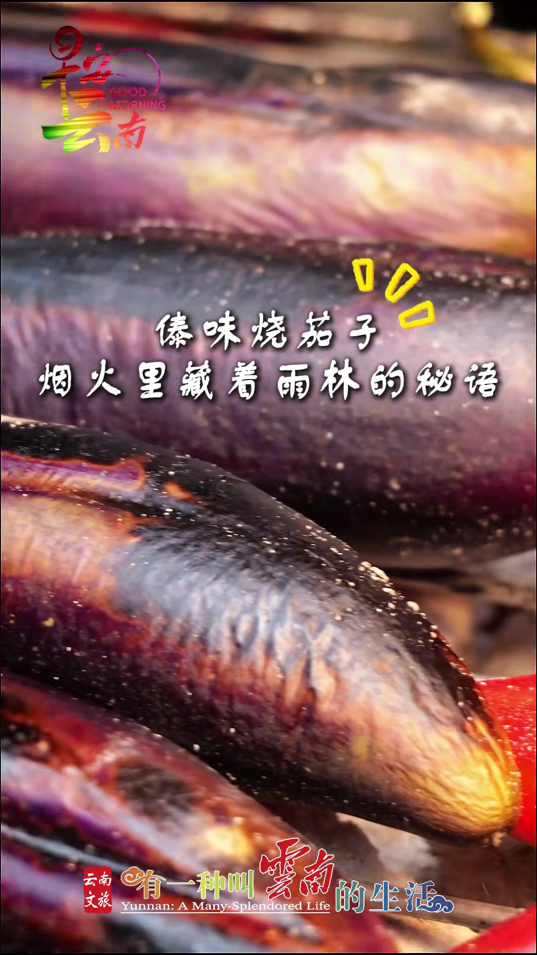 欢迎走近舌尖上的云南傣乡|原来茄子也能这样吃!傣香傣色的烧茄子,炭火最大程度激发出了茄子的