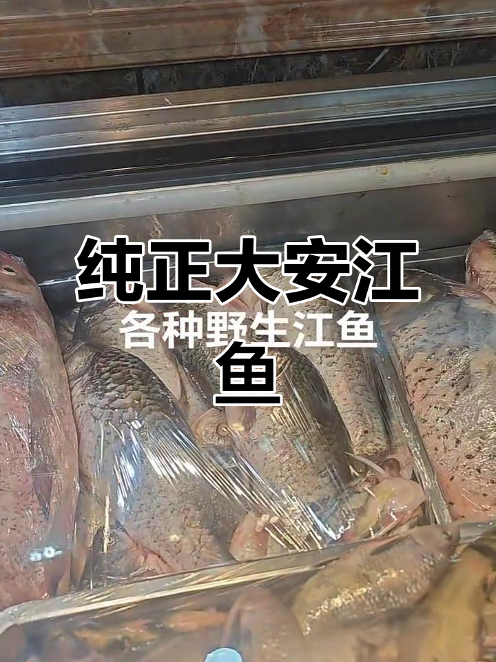 大安野生江鱼大集合,品种齐全,新鲜到家!