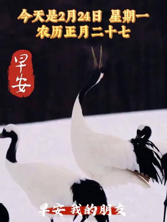 仙鹤归来,福满人间。仙鹤象征着吉祥与幸福,承载着人们对美好生活的向往与期盼。早安,我的朋友
