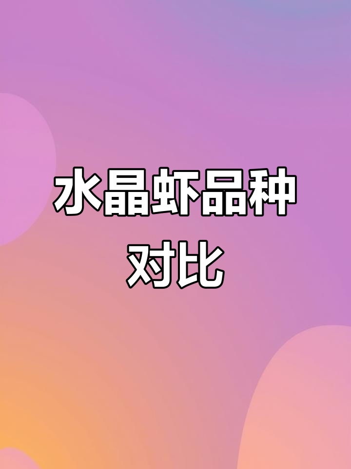 纯血水晶虾与新手红白水晶虾品质大揭秘