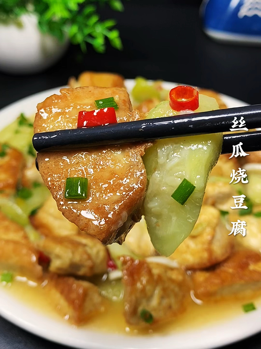 丝瓜烧豆腐