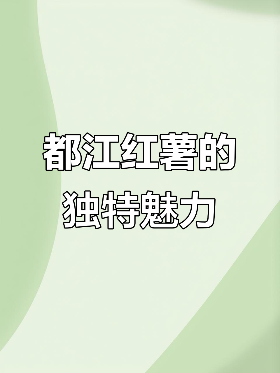 四川都江红薯:春涧顶级美味,花瓣红肉满盈