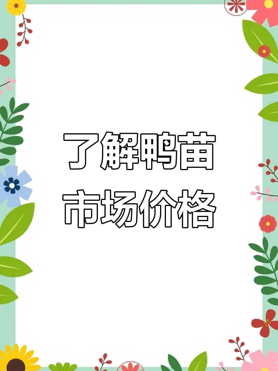 鸭苗价格波动与市场行情,孵化场最新动态