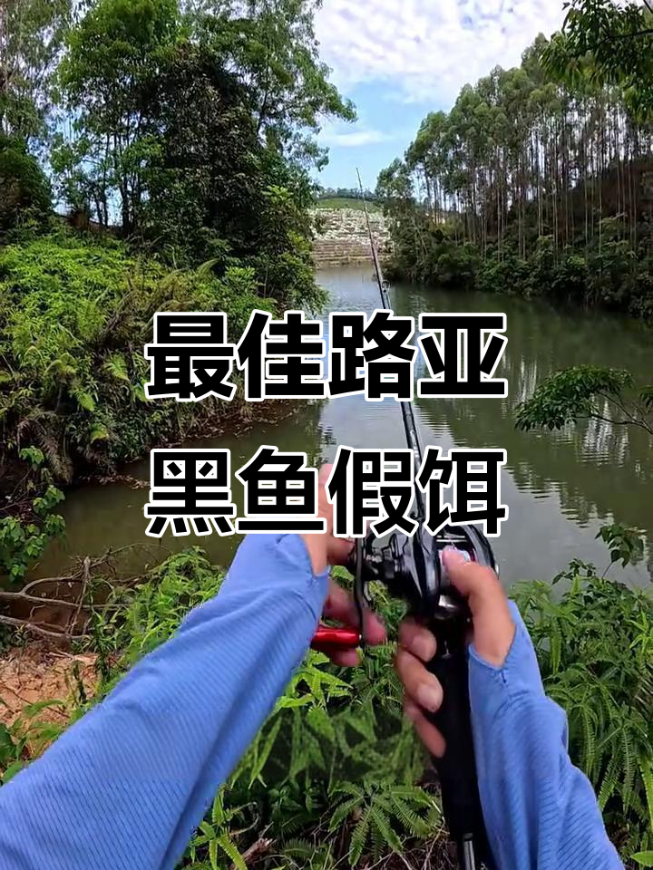 路亚黑鱼必备假饵,土豆曲柄钩钓组超强推荐