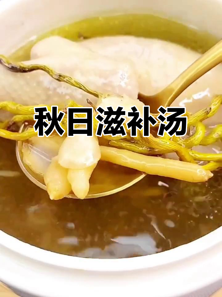 秋季干燥,炖汤滋补,润肺养胃,缓解燥热