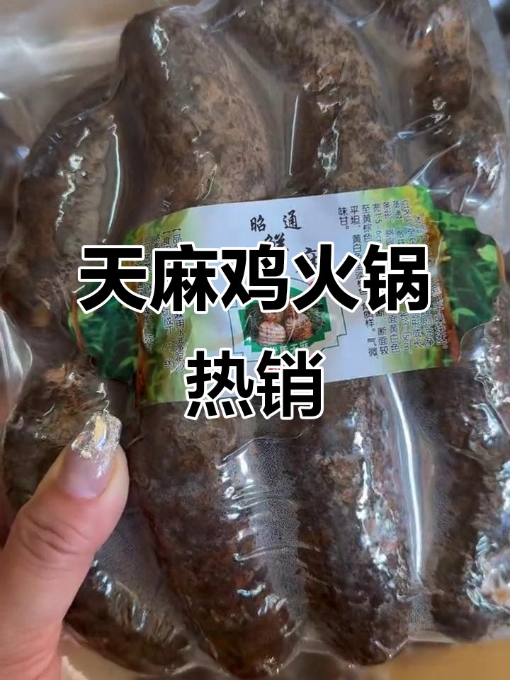 寒冬将至,火锅必备天麻鸡,老乡们忙着囤年货了!