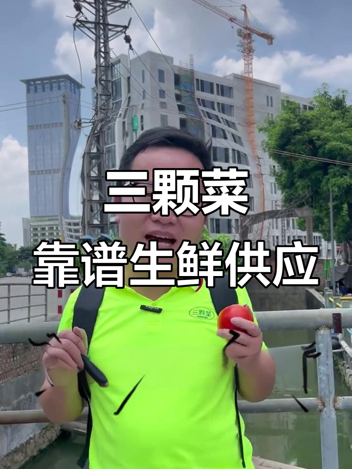 广州黄埔食堂食材采购不再难,三颗菜分拣仓助力精准配送