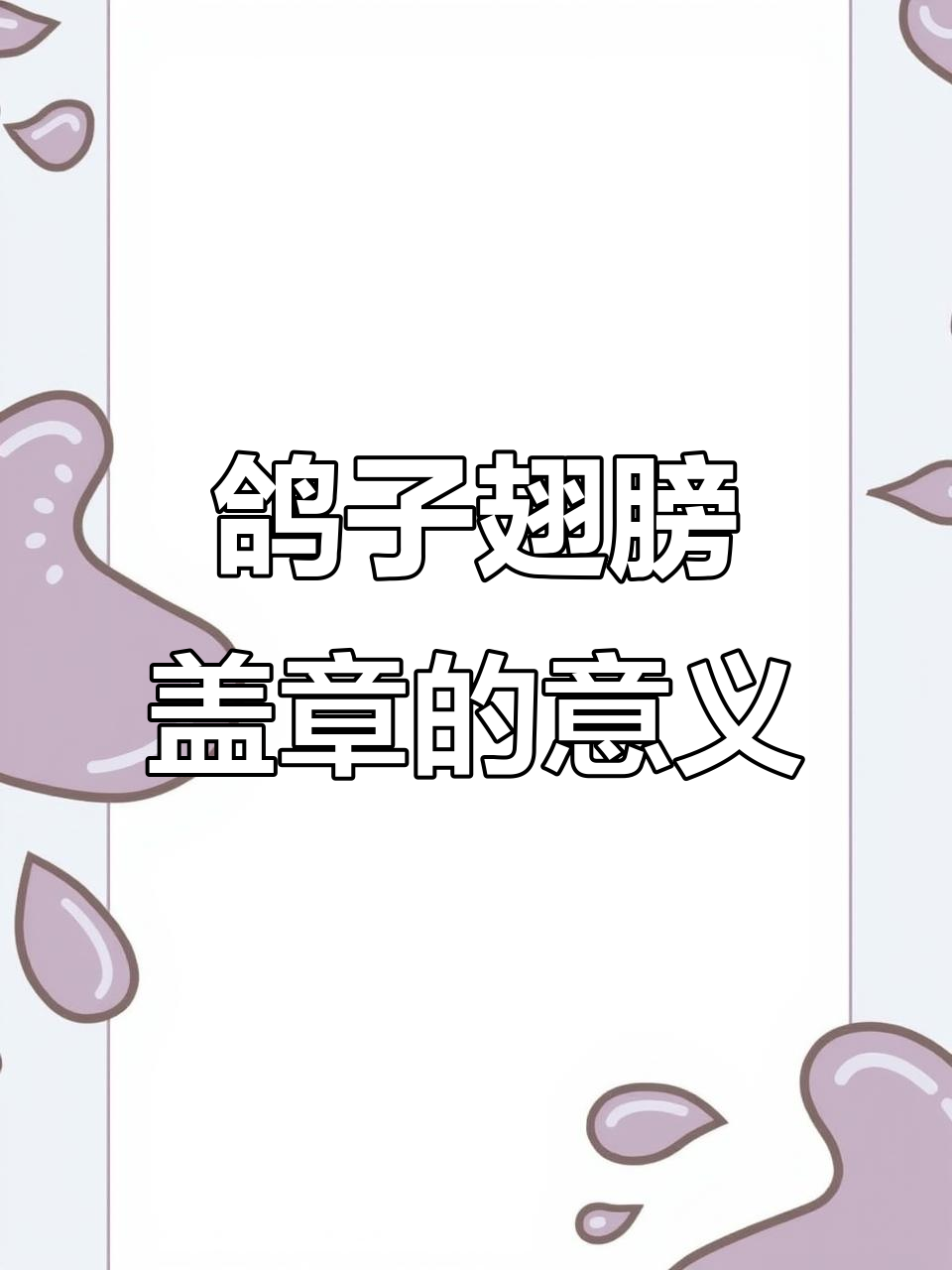 鸽子翅膀上的印章到底有什么作用?揭秘赛鸽身份验证的秘密