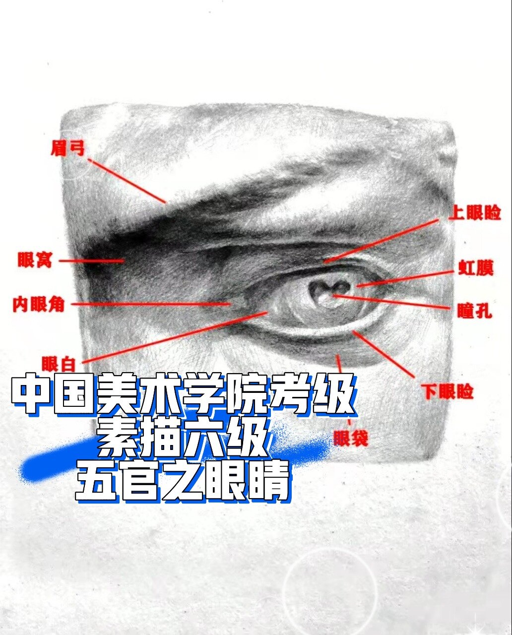 国美考级6级素描石膏五官之眼睛