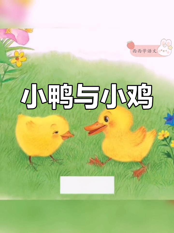 《小公鸡和小鸭子》故事,部编版语文第三单元内容