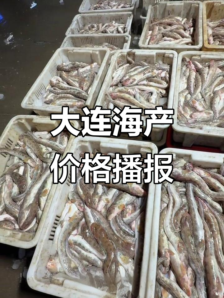 大连辽渔市场海鲜行情,刀鱼稳定、鲅鱼涨价