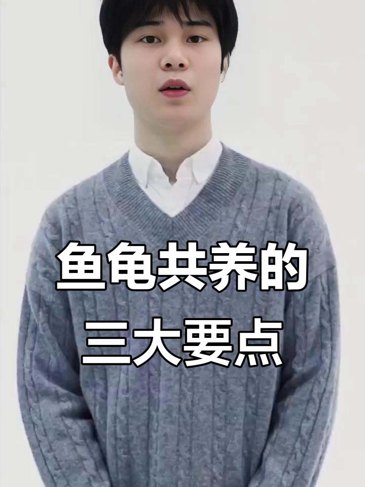 鱼龟混养技巧与注意事项，如何避免悲剧发生