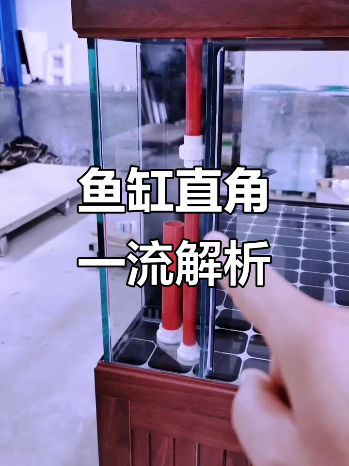 鱼缸直角溢流原理揭秘：如何选择合适的上水管与间距