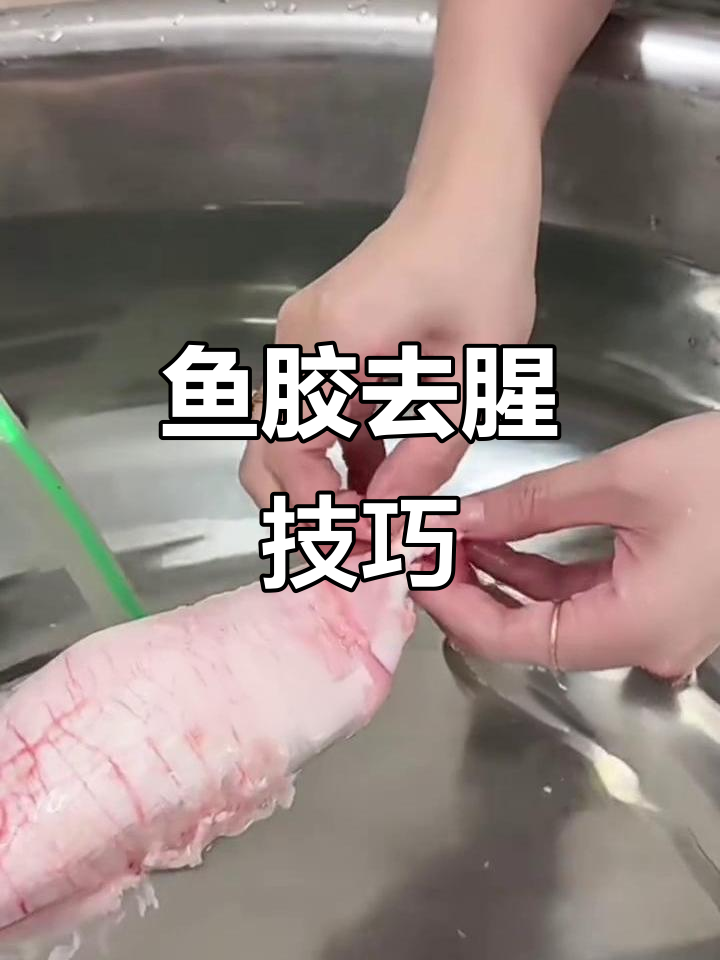 洗鱼胶不腥的秘诀，鳘鱼胶价格大揭秘！