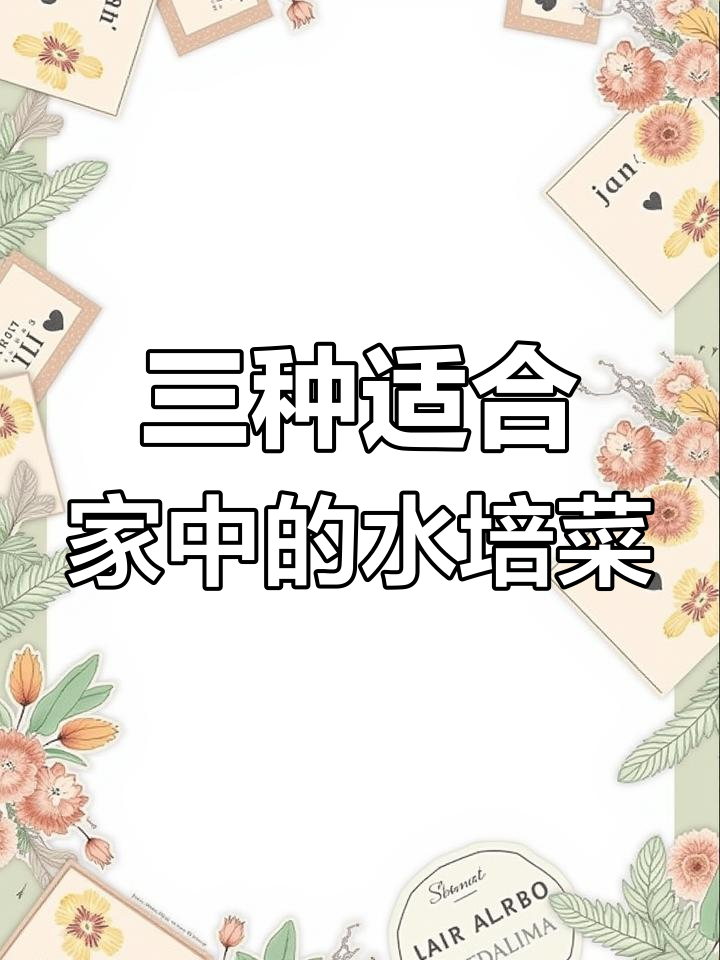 居家隔离必试!三种水培蔬菜,轻松搞定