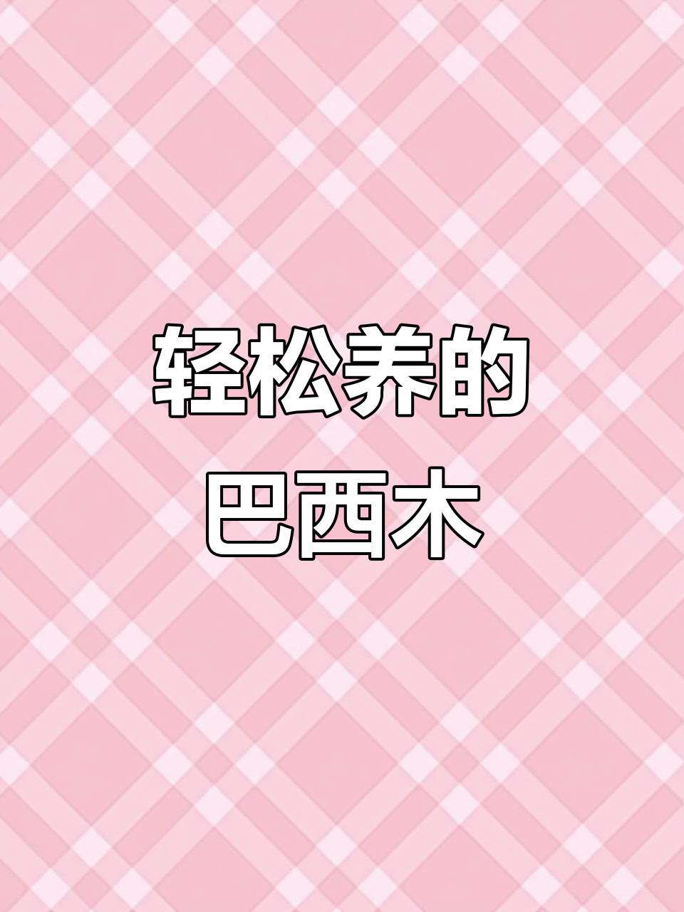 巴西木:香气四溢,养护简单,家里有老婆孩子必养