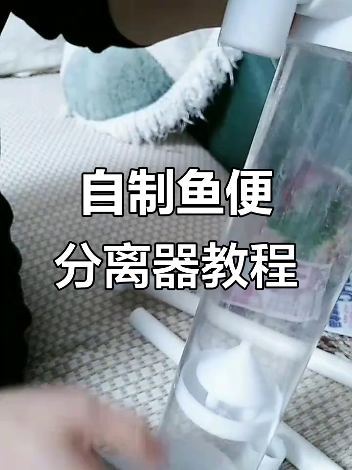 鱼便分离器DIY，轻松组装步骤全解析