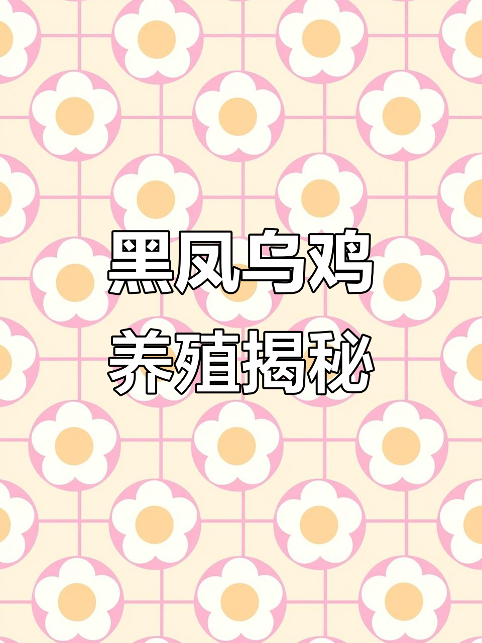 玉德家庭农场:生态散养黑凤乌鸡,健康又美味