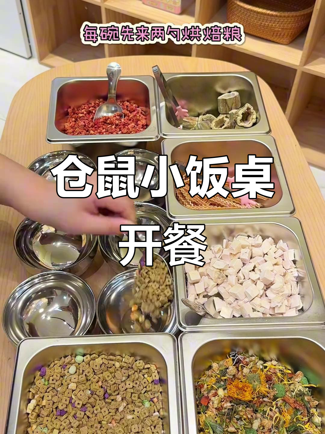 小仓鼠迷你饭桌,营养搭配全搞定!