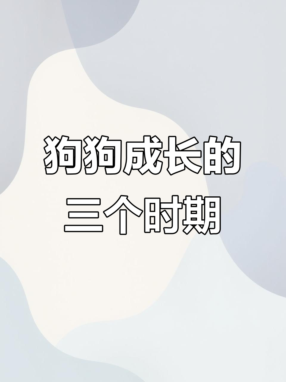 狗狗成长三大阶段,何时才算成熟?