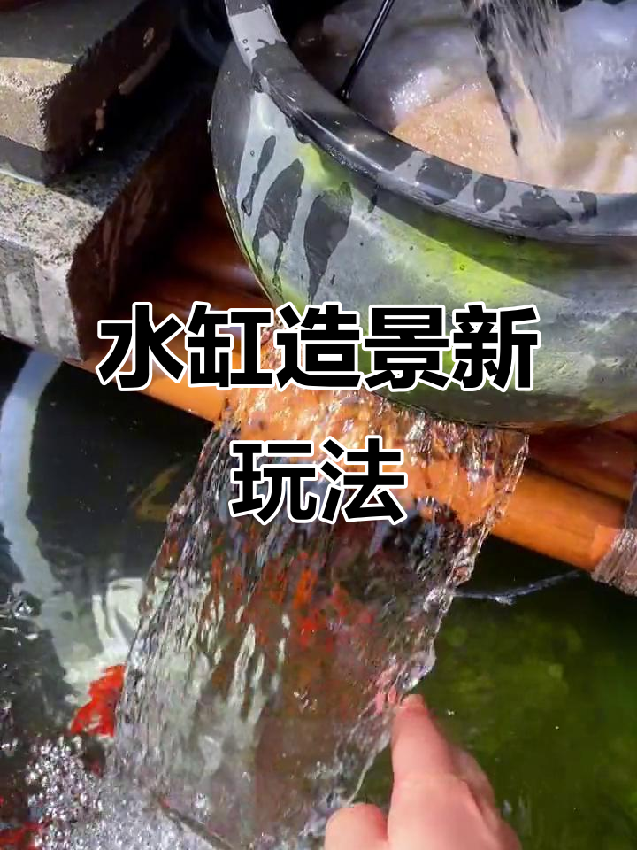 老水缸养鱼,简单又美观,瀑布效果超惊艳!