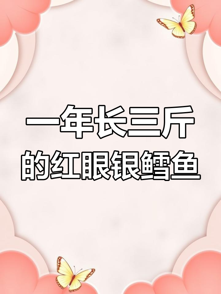 红眼银鳕鱼:适应力强,养殖简单