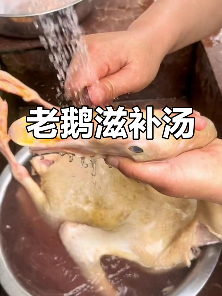 十年老鹅炖汤,滋补养生