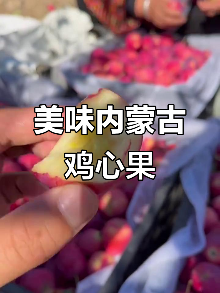 内蒙古鸡心果，糖心满满超好吃