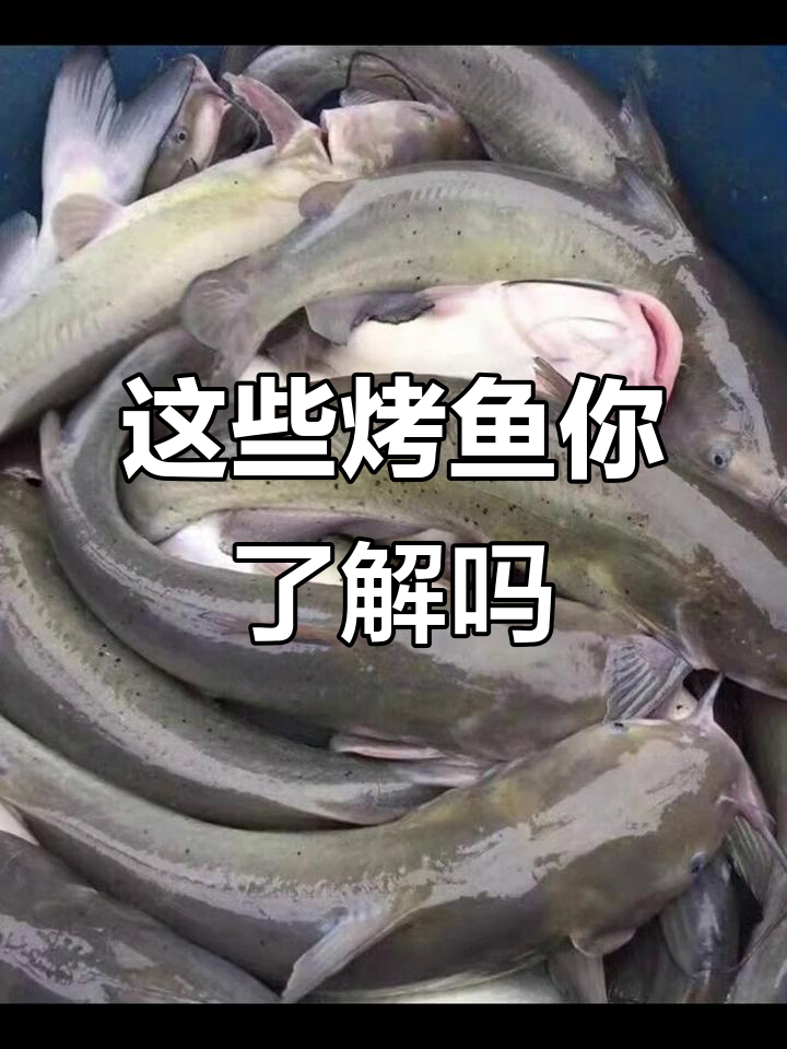 凌波鱼、清江鱼的真相,烤盘上的这些名字背后藏着什么?