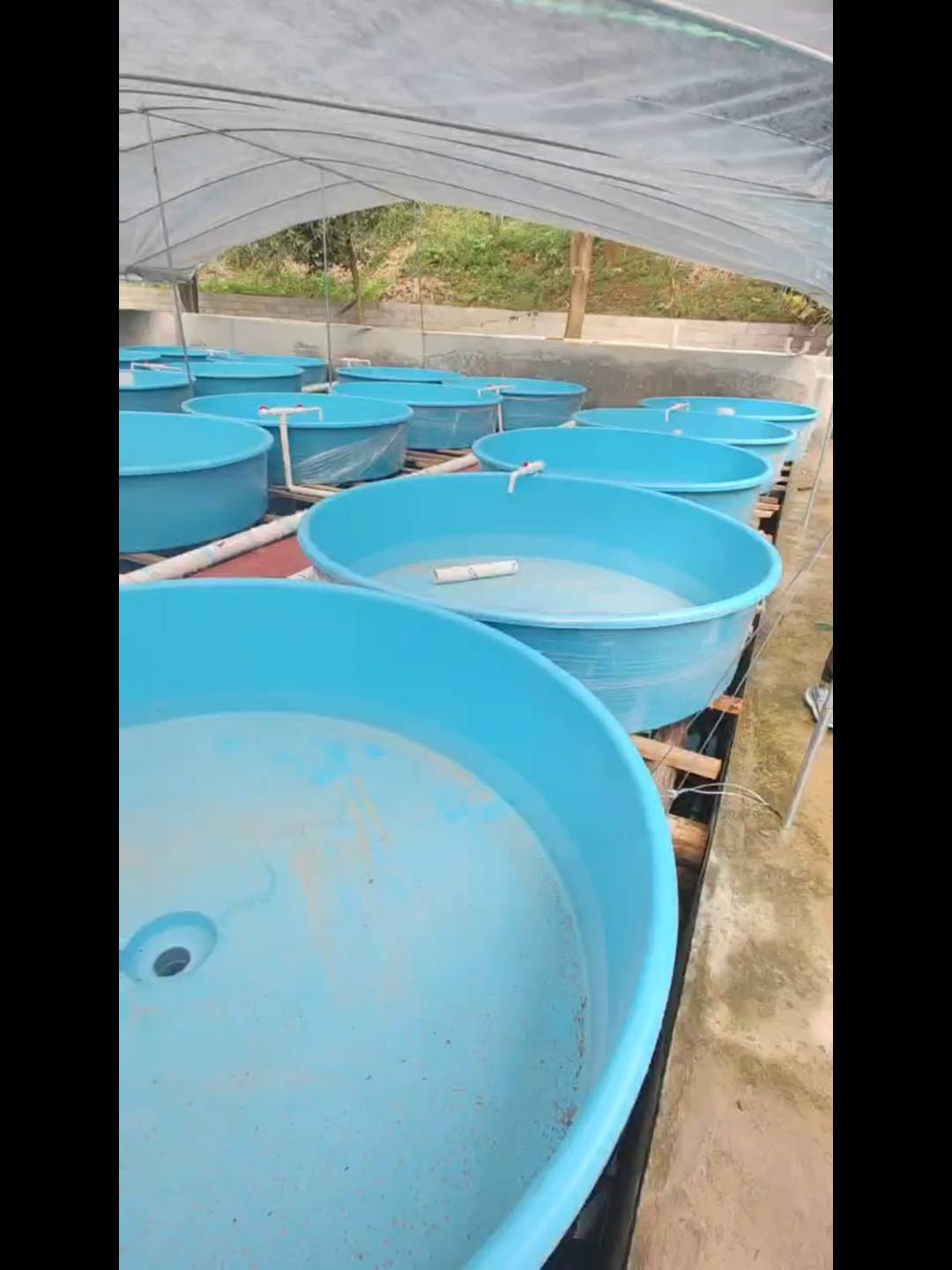 玻璃钢鱼池养殖鱼盆