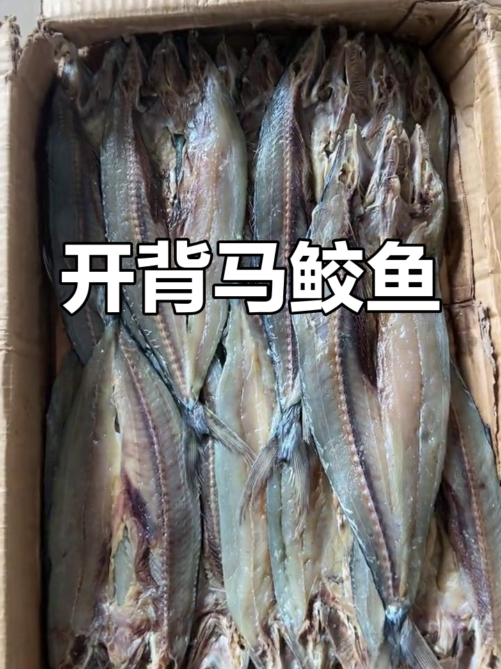 燕尾鲅鱼去内脏,刺少肉鲜