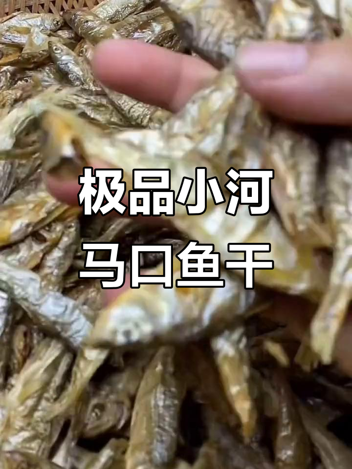 小河马口鱼干,五斤鲜鱼做一斤,烤得超干无水分