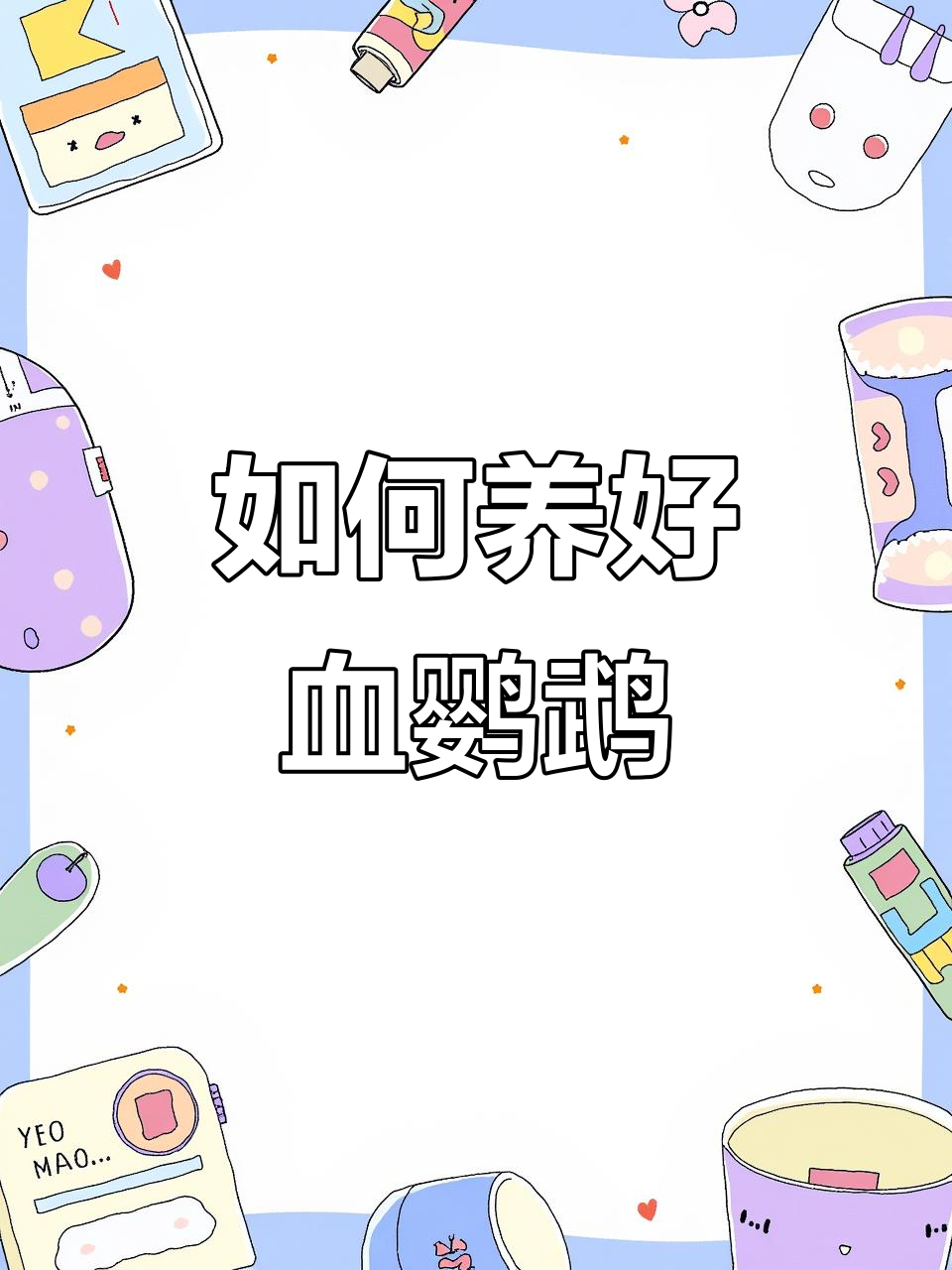 血鹦鹉鱼饲养全攻略：水质、温度与饲料管理