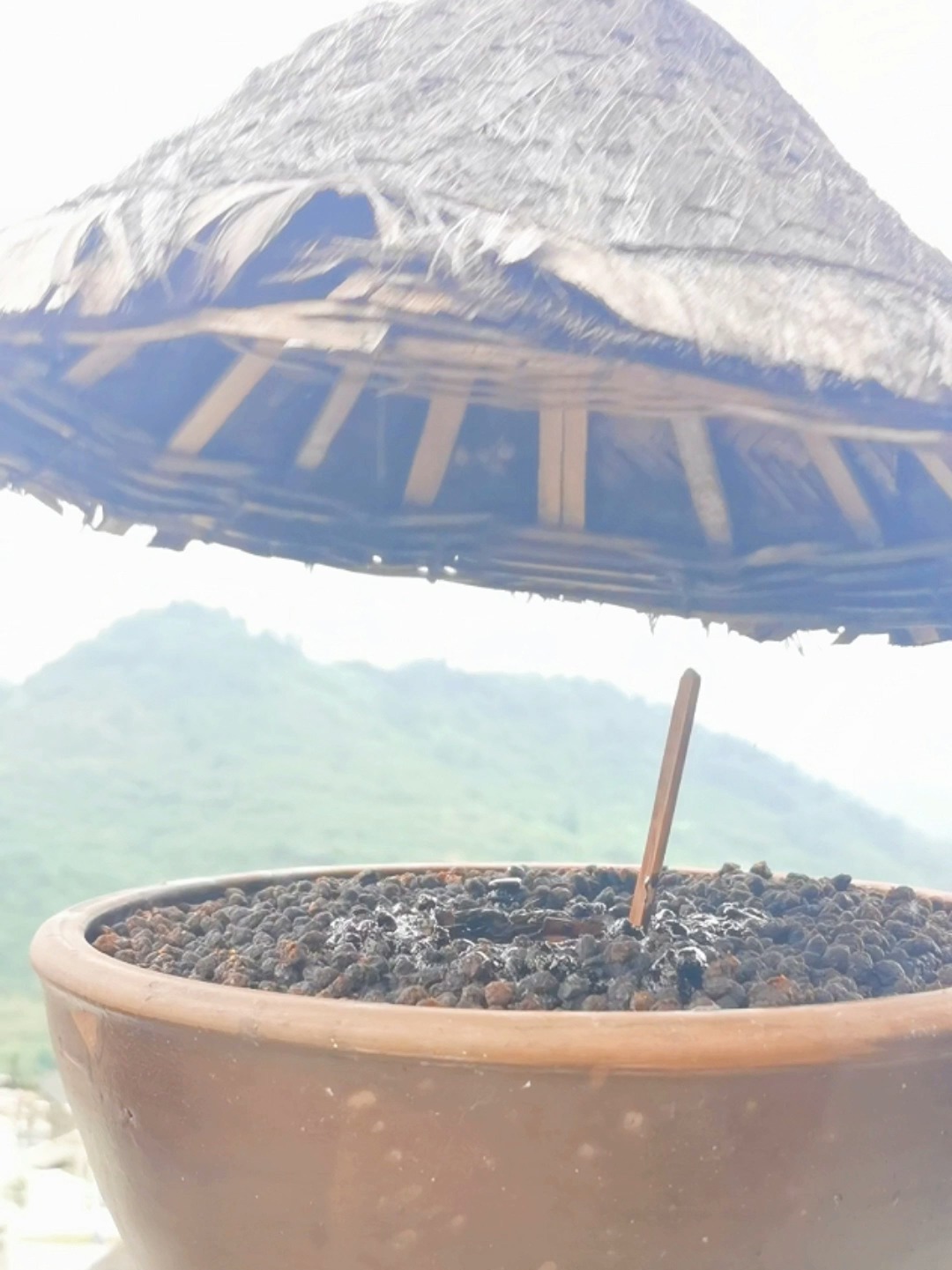 家庭自制的纯手工酱油制作简单方法看了就会