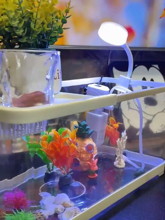 透明鱼缸换新，大气上档次，快来体验吧！