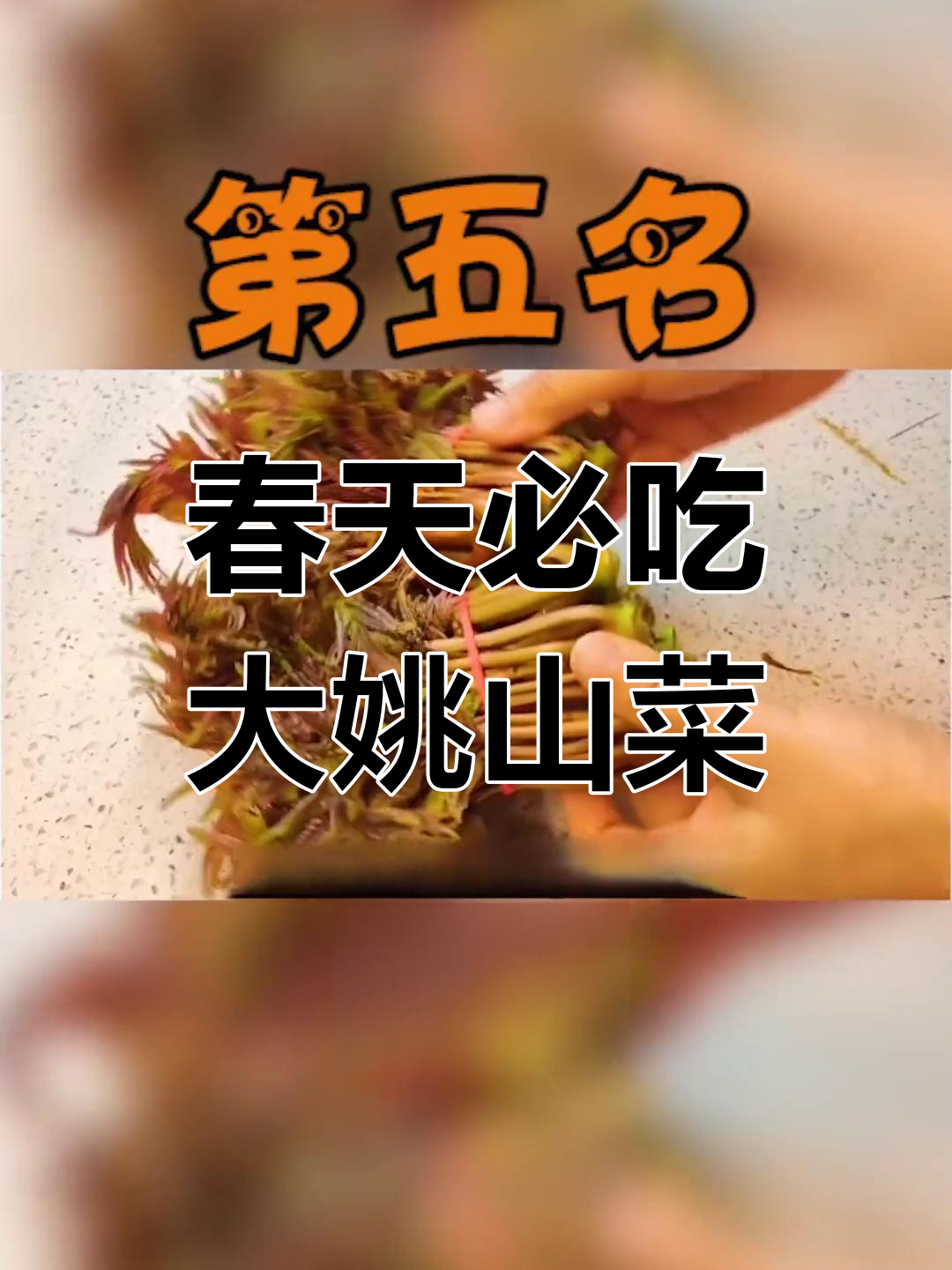 大姚春季必尝的山茅野菜,吃过几种?