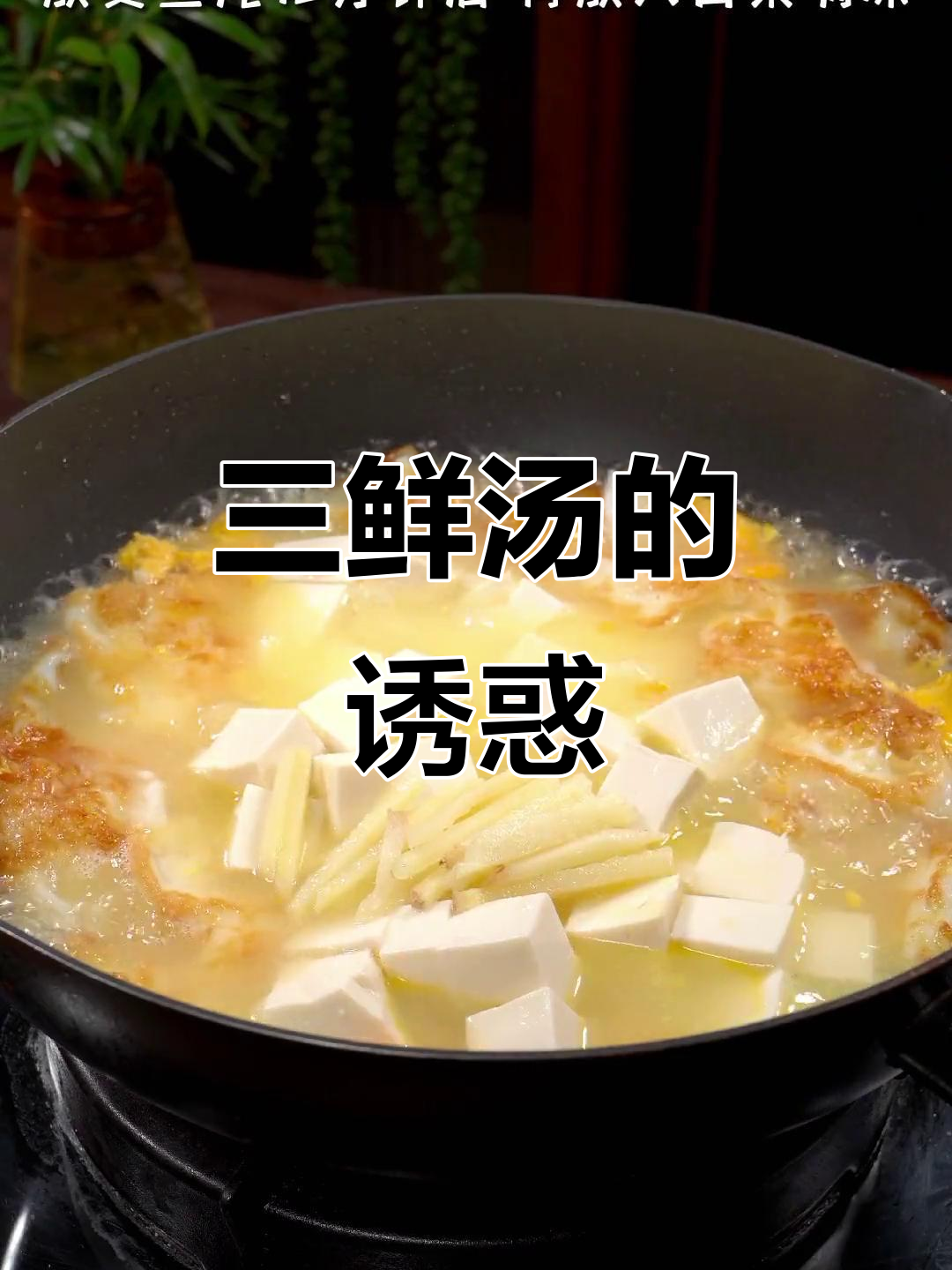 每周必做，白菜豆腐汤鲜美十足，孩子们争着吃！