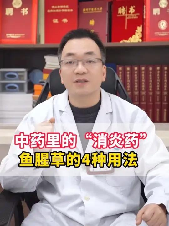 中药里的“消炎药”,鱼腥草的4种用法 #鱼腥草 #消炎 #中医