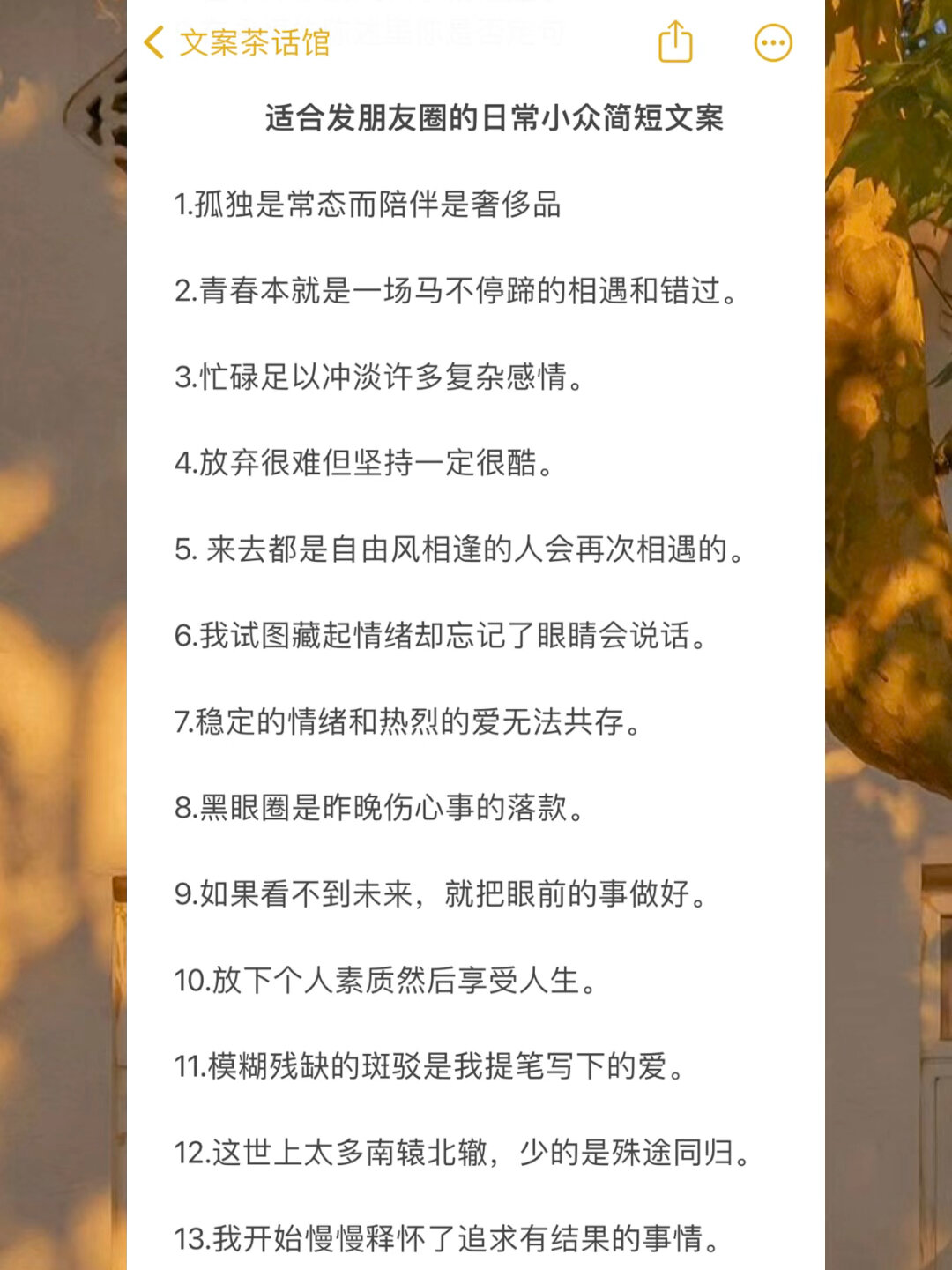 发朋友圈的简短文案放下个人素质享受人生