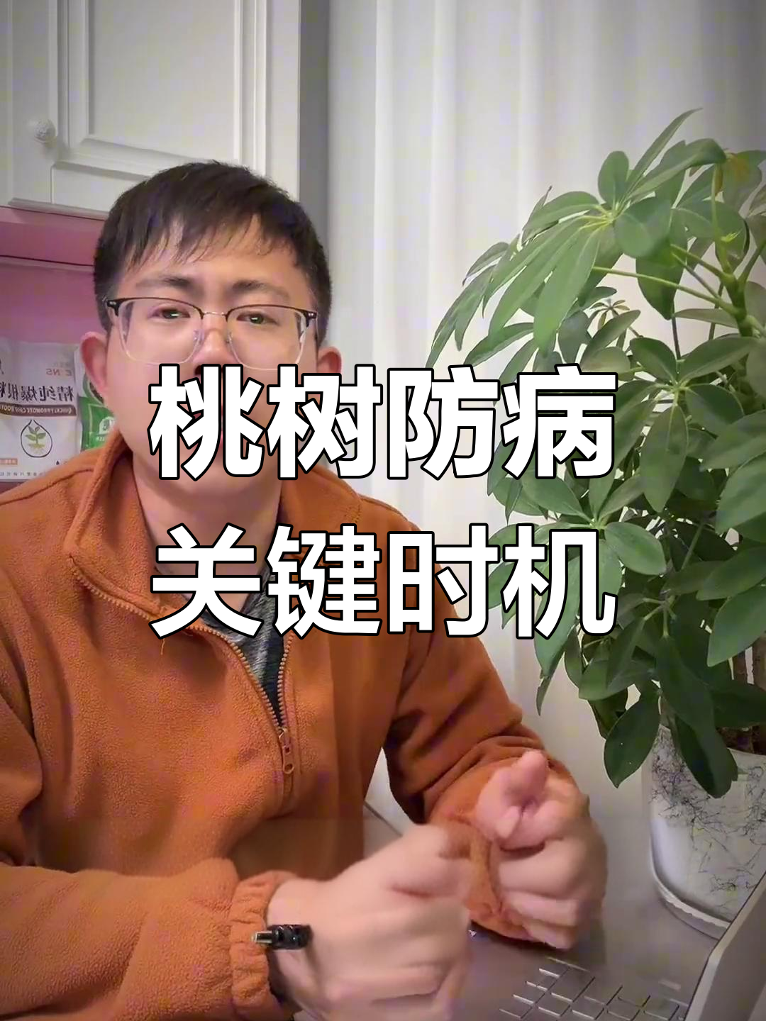 桃子拇指大时,如何正确防治病害?