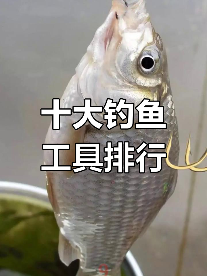 鱼钩品牌排行榜前十名