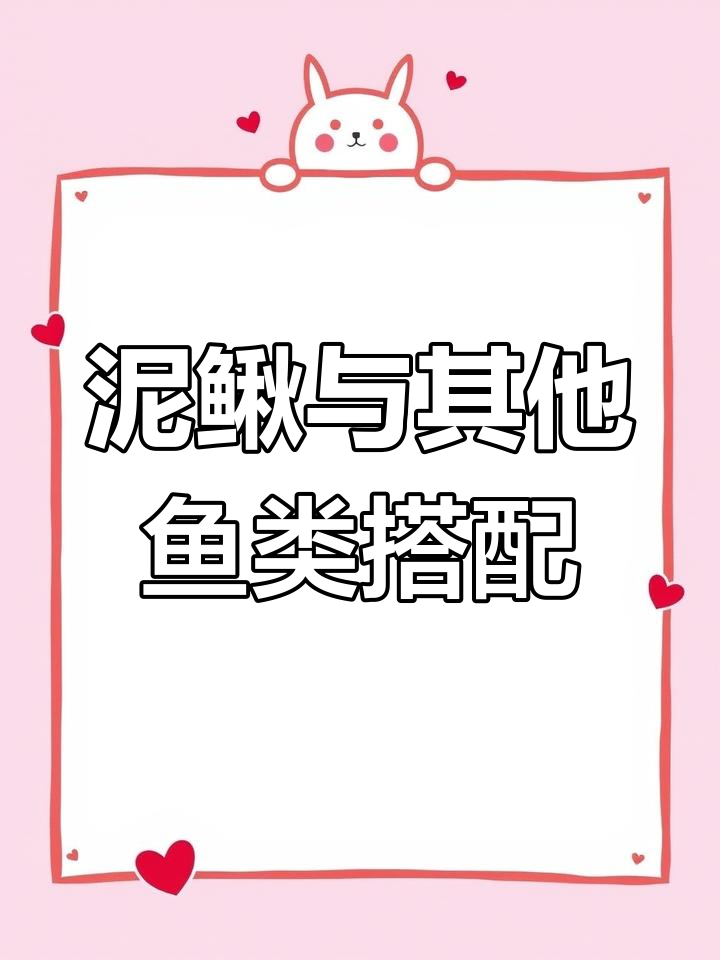 泥鳅与四大家鱼混养技巧