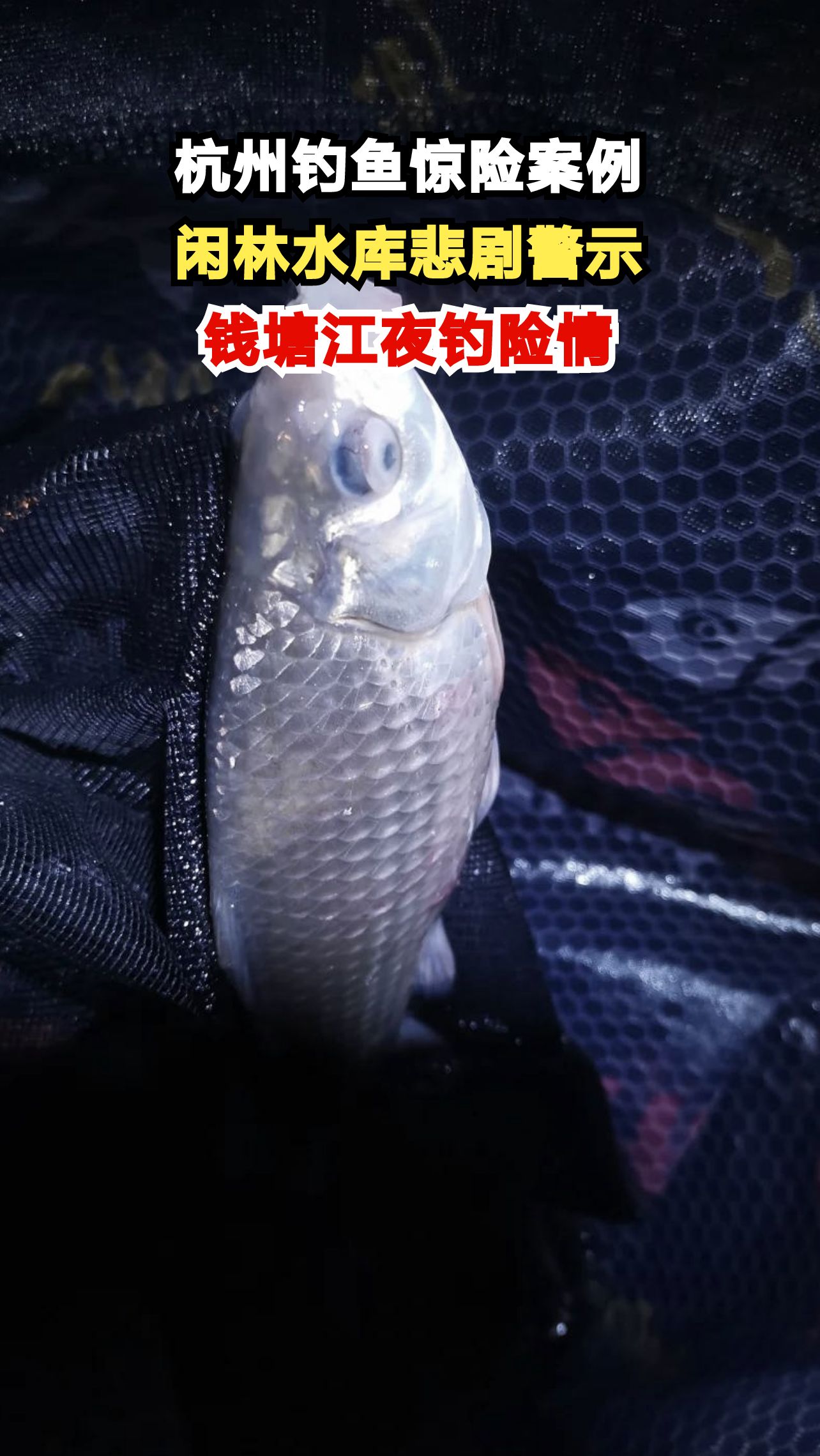 杭州钓鱼惊魂夜:大鱼拖走鱼竿,钓鱼人划船追鱼翻船失踪