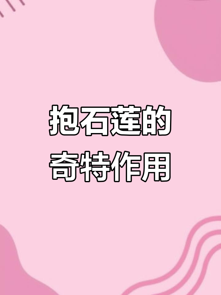 抱石莲的奇特作用
