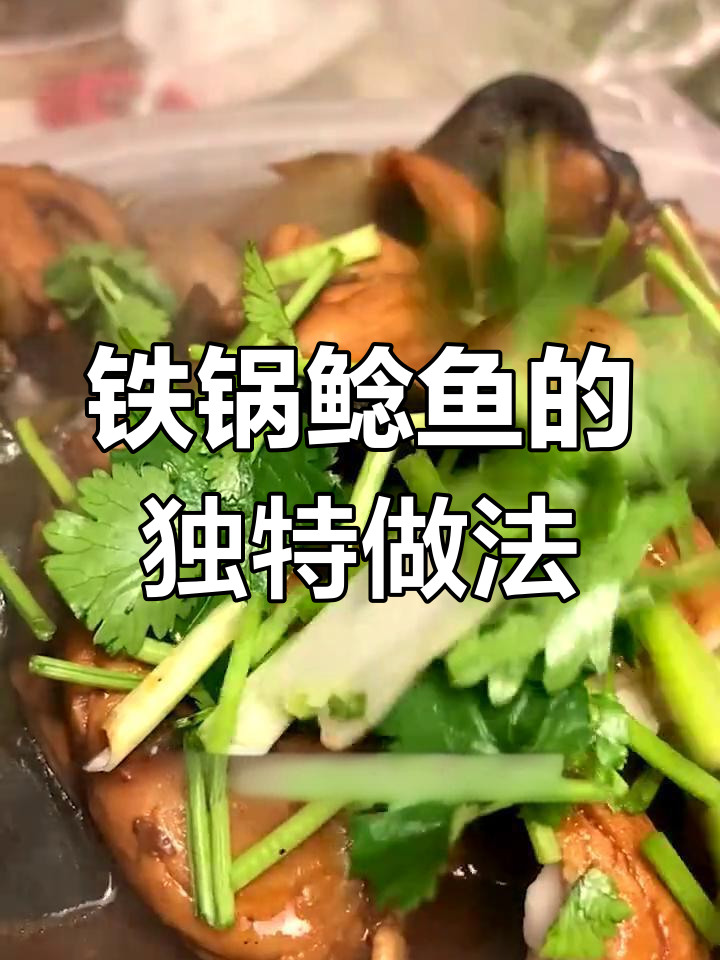 滨州南阳大鸡的铁锅鲶鱼,十来年老店的秘密炖法